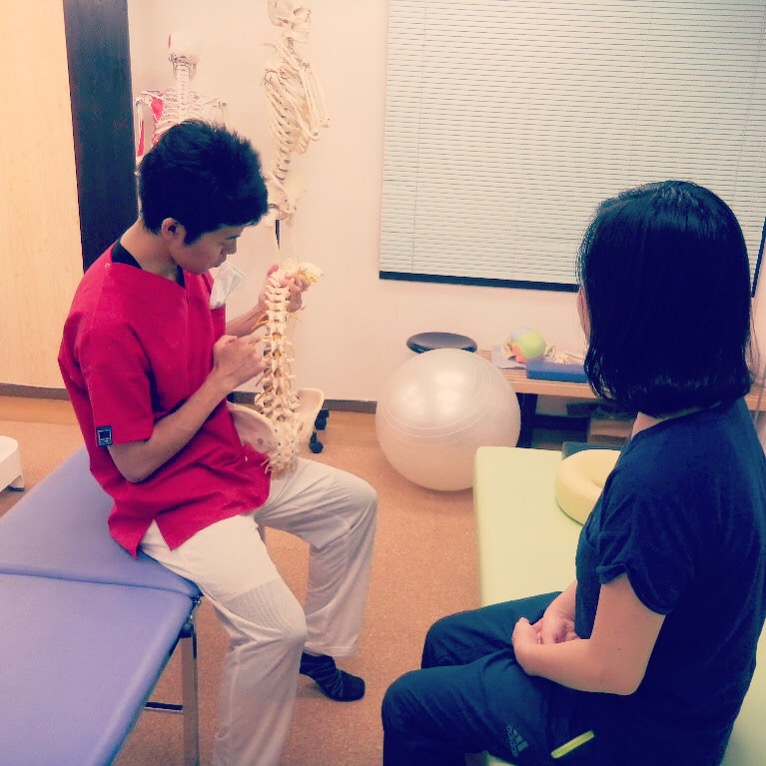 逗子整体｜骨格模型を使った分かりやすい状態説明